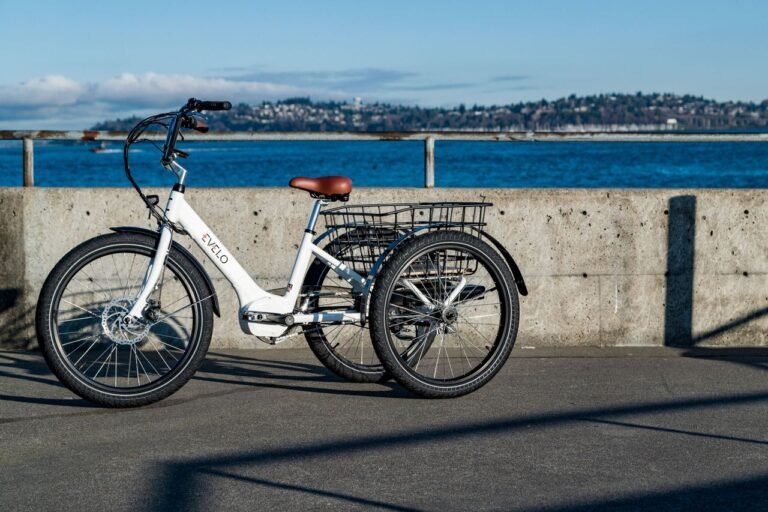 EVELO electric tricycle parked by the Seattle waterfront on a sunny day, offering a view of the cityscape and water.