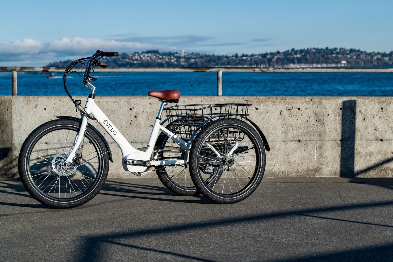 EVELO electric tricycle parked by the Seattle waterfront on a sunny day, offering a view of the cityscape and water.
